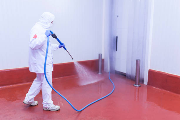 Best Soft Washing  in Centerville, IA